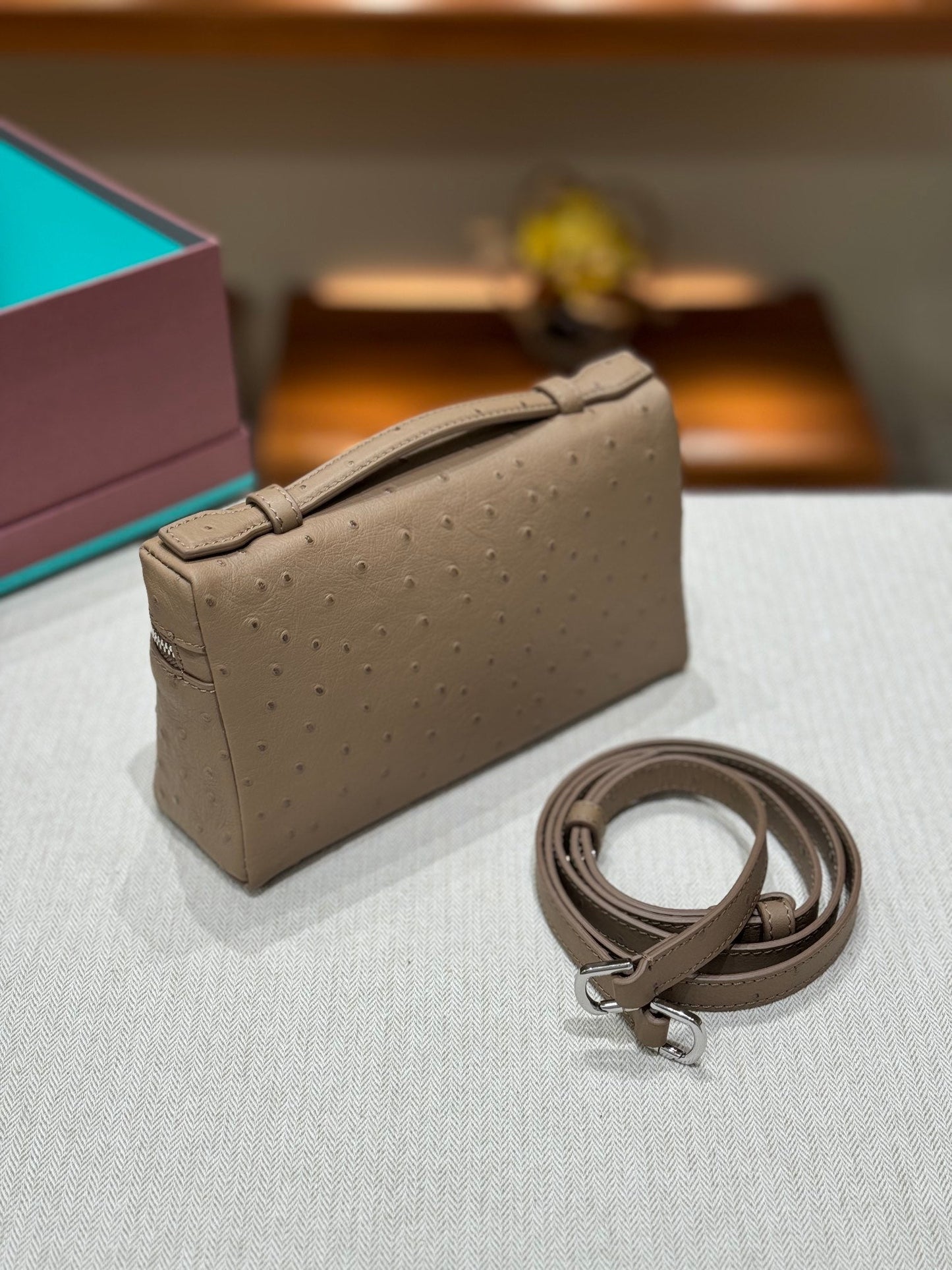 Loro Ostrich Leather Clutch 19