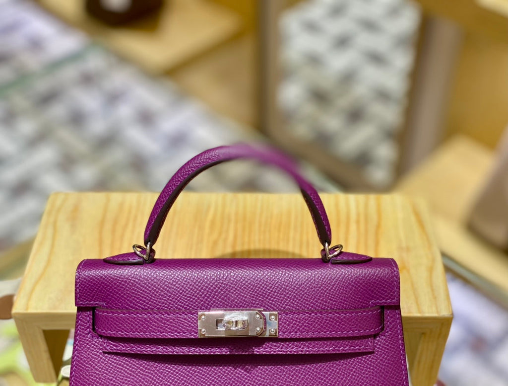 19 Epsom Anemone Purple