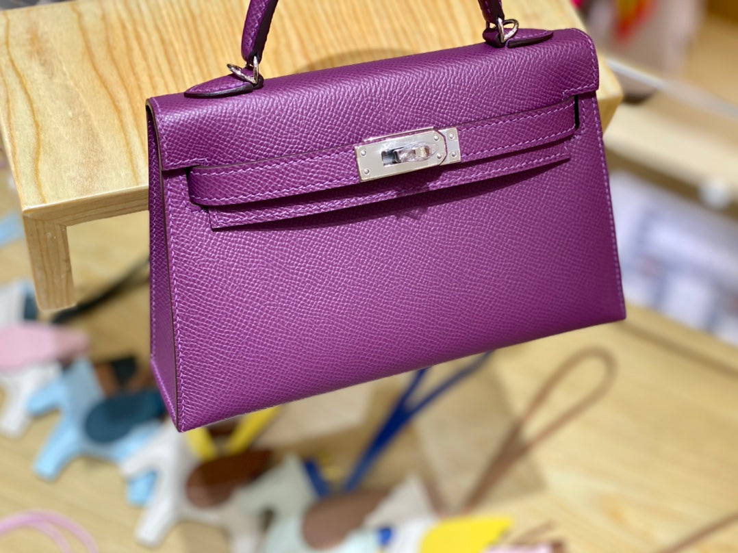 19 Epsom Anemone Purple